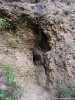 A második szint Máréfalva Leshegy Kőlik védüreg védbarlang