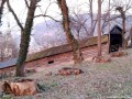 Kivágott fák csonkjai Segesvár fedett falépcső diáklépcső Schülertreppe