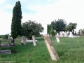 Református temető Marosbogát