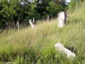 Magas fű Marosbogát zsidó temető