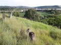 Kilátás az autópálya felé Marosbogát zsidó temető
