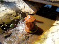 Kút a Szilos-patakban Alsóbogáti borvíz forrás Csíkrákos