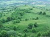 Zöld Móric-kő