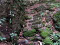 Régi lépcső panda kő szikla galonya