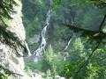 Habos-völgy vízesése Bucsecs-hegység