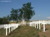 Hősök emlékműve Csíkdánfalva hősök temetője