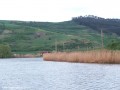 A tó áprilisban Mezőkölpény kölpényi tó