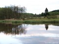 Szencsedi-tó - 3 Szencsedi-tó Fenyőkúti-tó Szencsed nárciszmező nárcisz