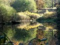 Az ősz színei 3 Borziatelep tava tó