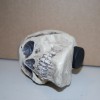 A koponya kreatív ötletes szokatlan rejtés geodoboz geoláda