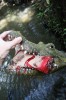 Az éhes krokodil kreatív ötletes szokatlan rejtés geodoboz geoláda