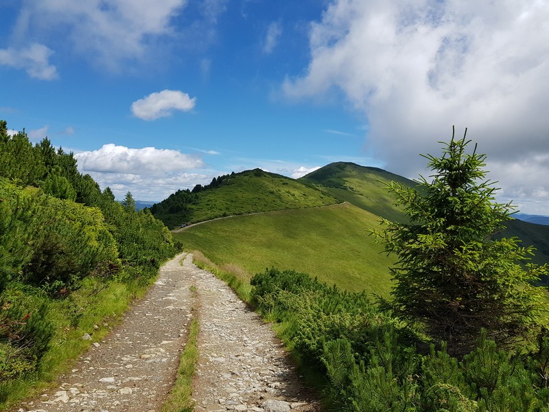 Gázsa-nyereg - Radnai-havasok