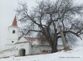 Télen Csíkszentlélek 500 éves hársfa