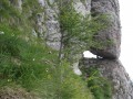 Ablak-párkány Bucsecs-hegység