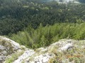 Erdő felett Gyilkos-kő panoráma kabin