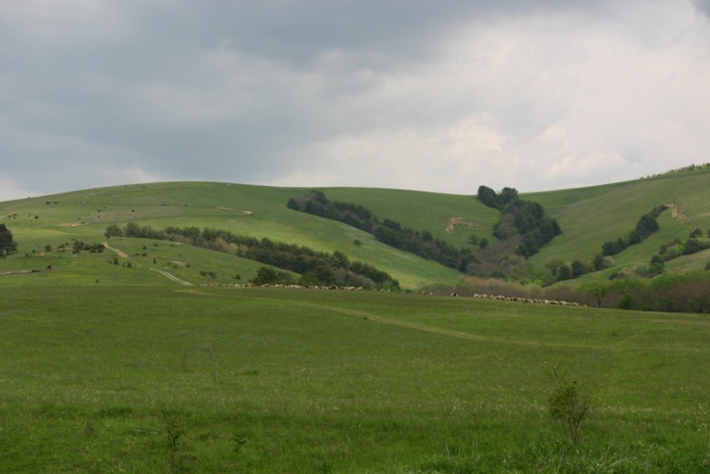 Mező-tető - Sepsimagyarós